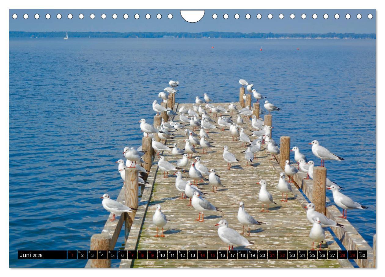 Bild: 9783435284351 | Das Meer bei Steinhude (Wandkalender 2025 DIN A4 quer), CALVENDO...