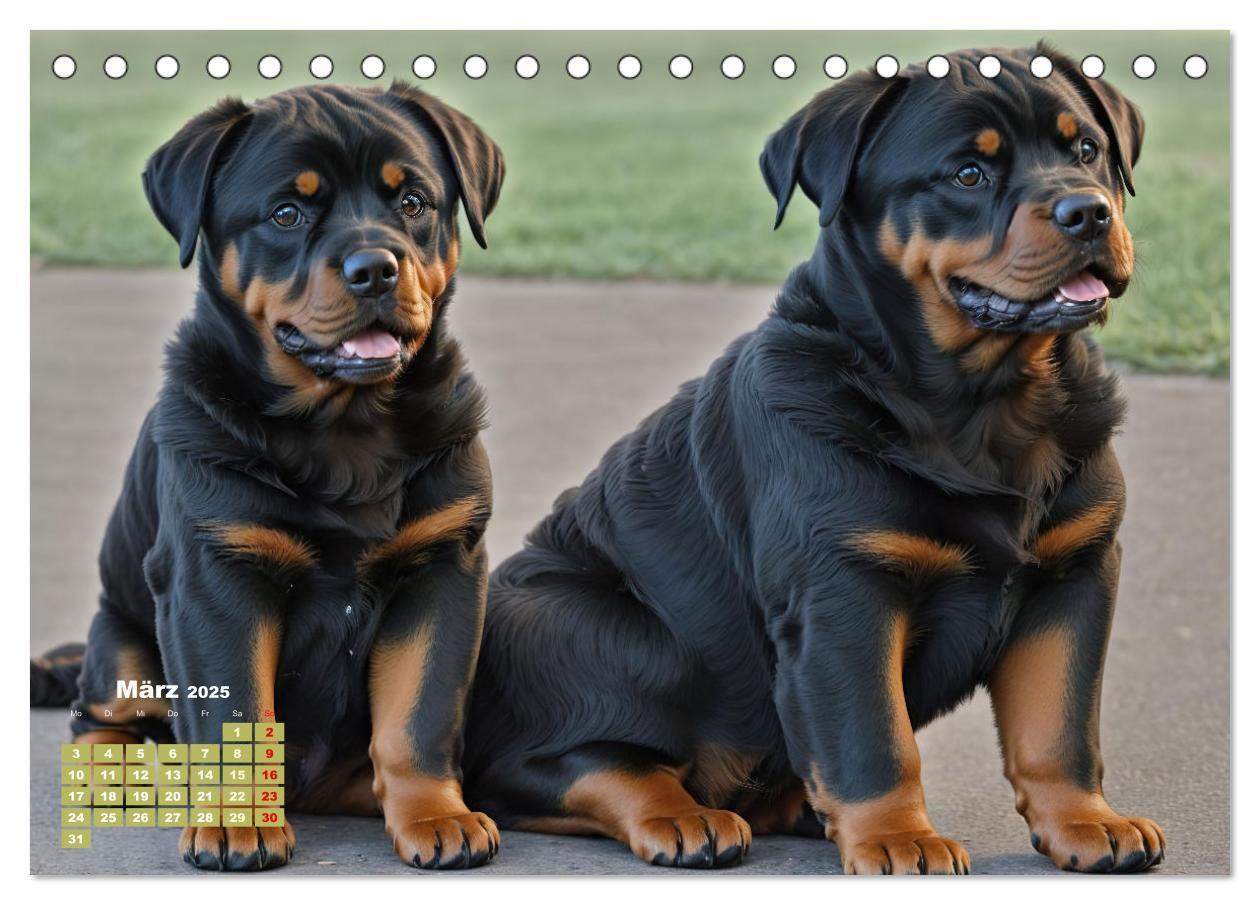 Bild: 9783383846434 | Majestätische Rottweiler: Ein Jahr voller Kraft und Loyalität...