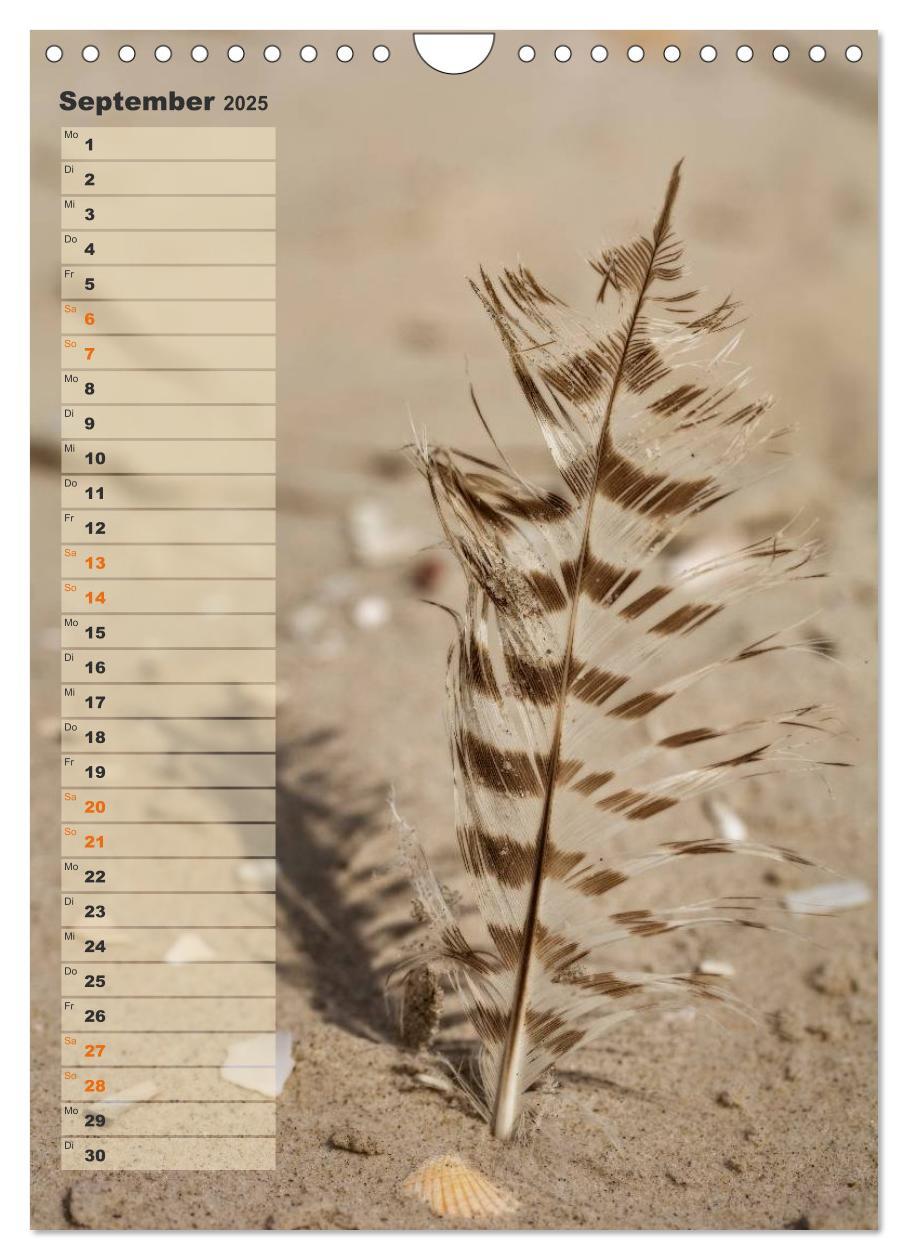 Bild: 9783457059623 | Zwischen Dünen und Watt / Geburtstagskalender (Wandkalender 2025...