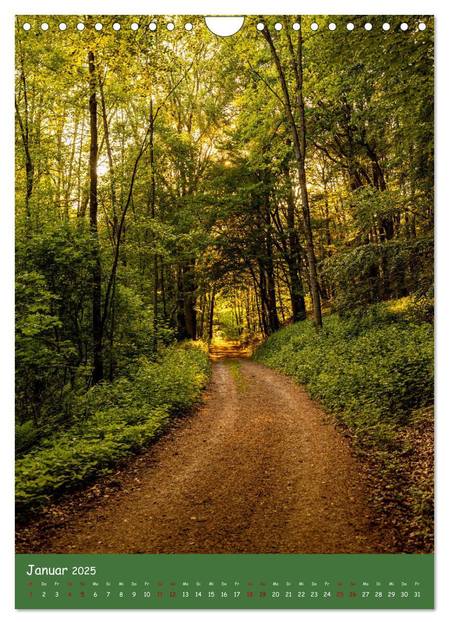 Bild: 9783435862481 | Ich bin dann mal im Wald (Wandkalender 2025 DIN A4 hoch), CALVENDO...