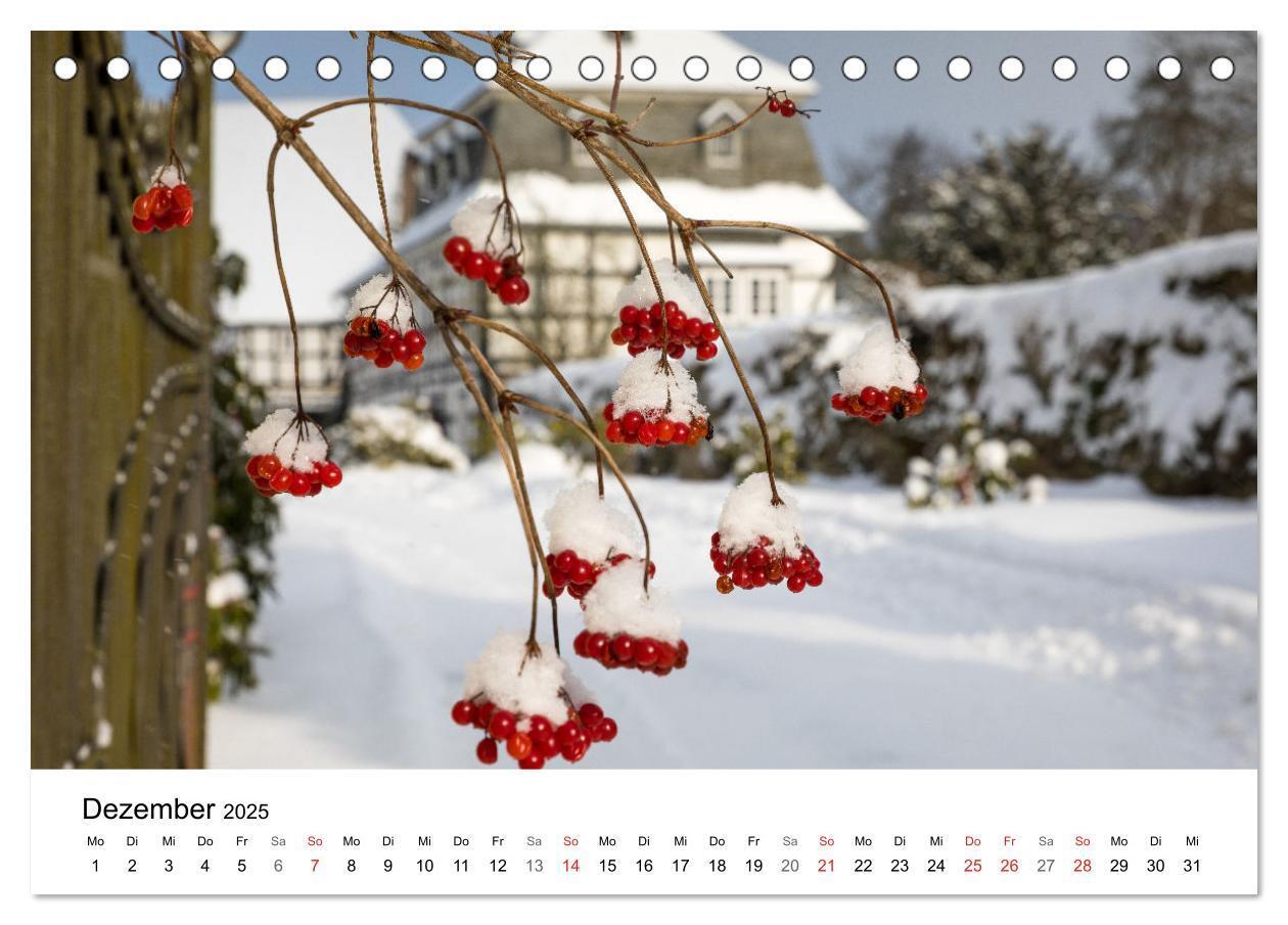 Bild: 9783383995446 | SAUERLAND ¿ Besondere Orte (Tischkalender 2025 DIN A5 quer),...