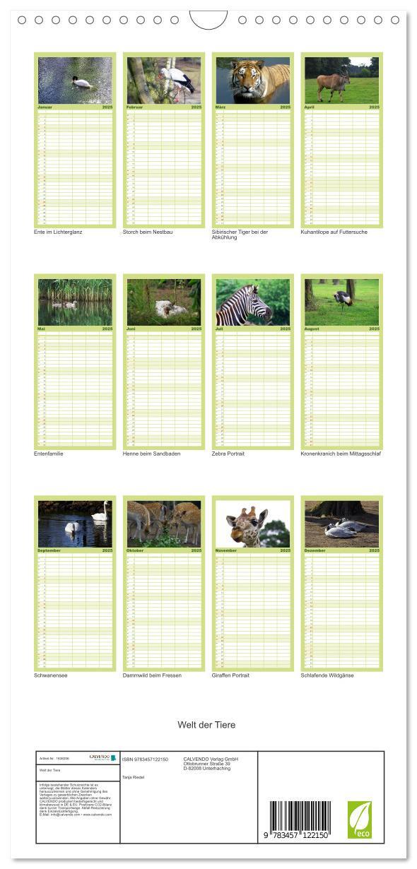 Bild: 9783457122150 | Familienplaner 2025 - Welt der Tiere mit 5 Spalten (Wandkalender,...