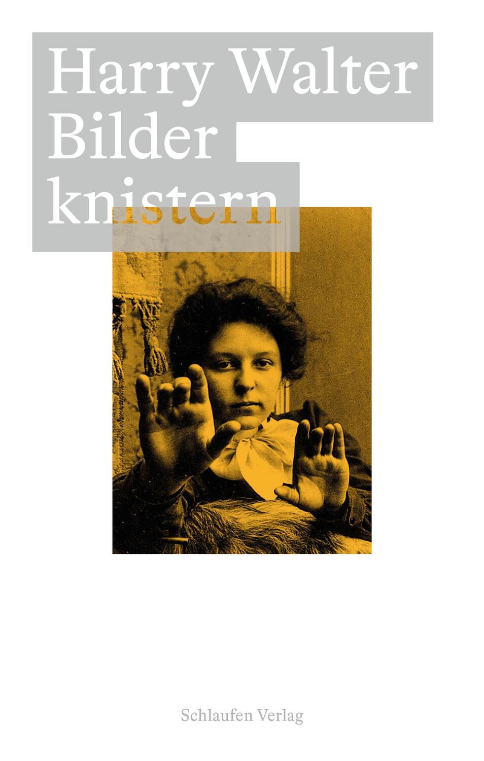 Cover: 9783987610011 | Bilder knistern | 24 Essays. Mit einem Vorwort. | Harry Walter | Buch