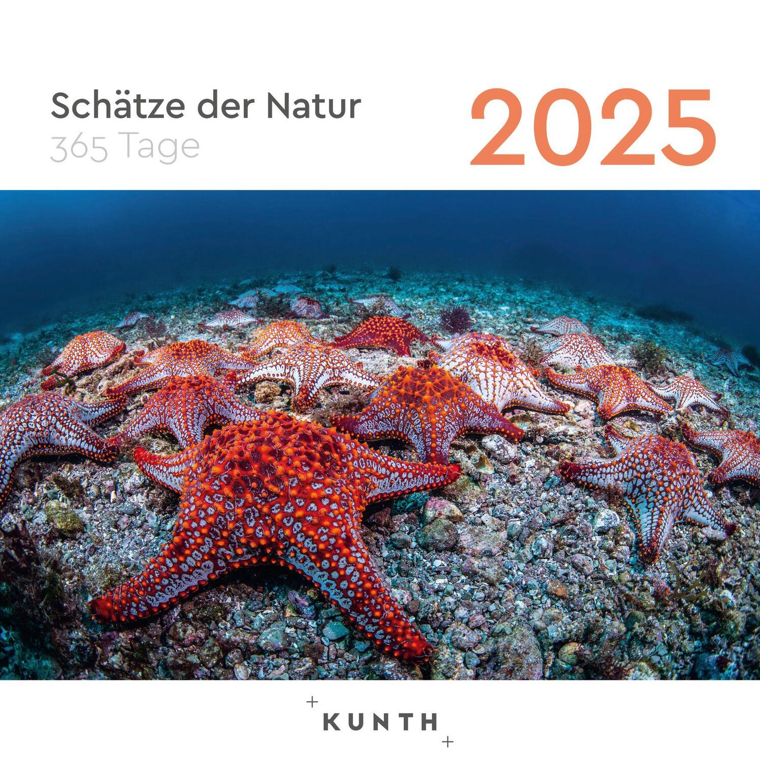 Cover: 9783965913837 | Schätze der Natur - KUNTH 365-Tage-Abreißkalender 2025 | Kalender