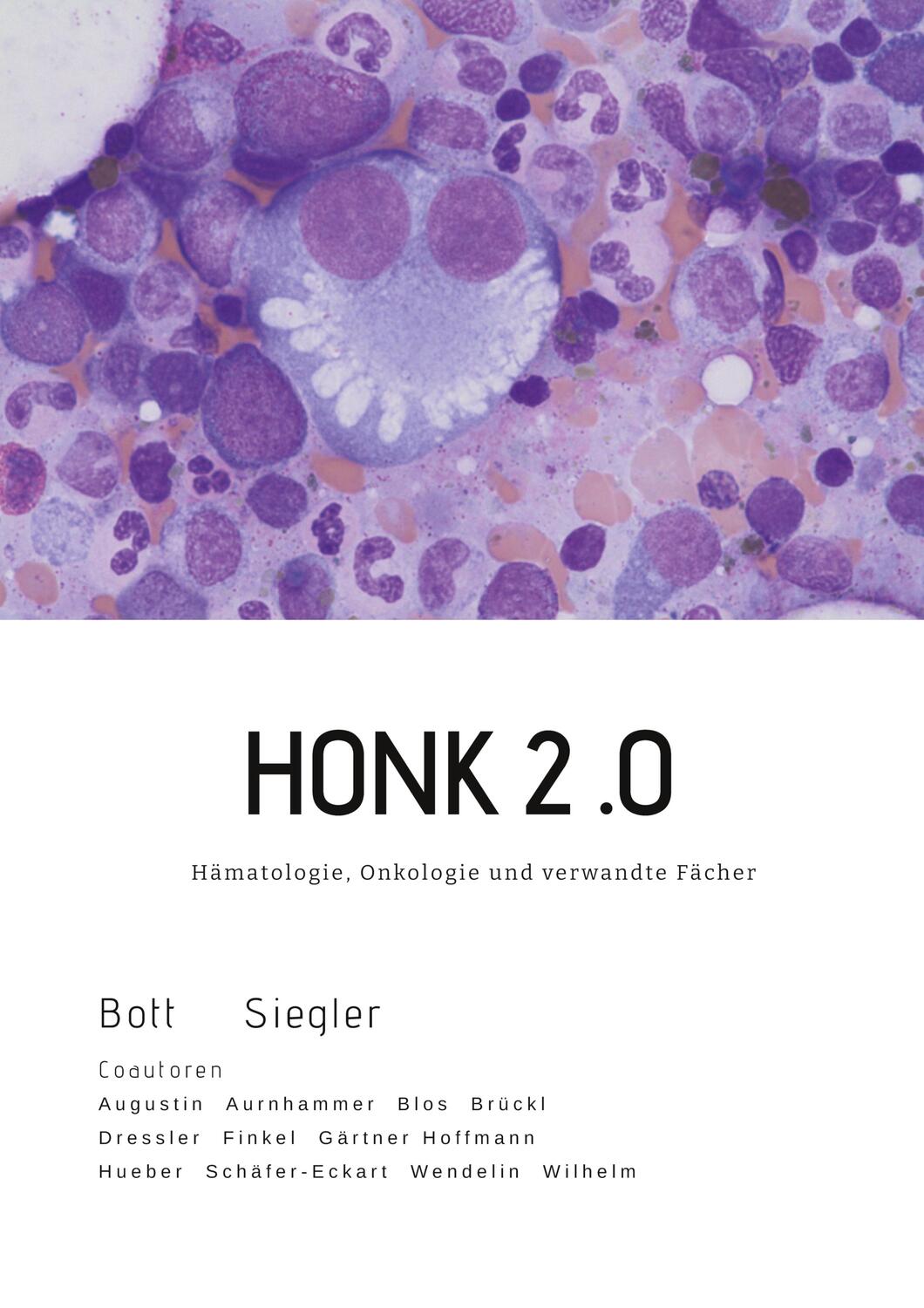 Cover: 9783347527539 | HONK | Hämatologie, Onkologie und verwandte Fächer | Bott (u. a.)