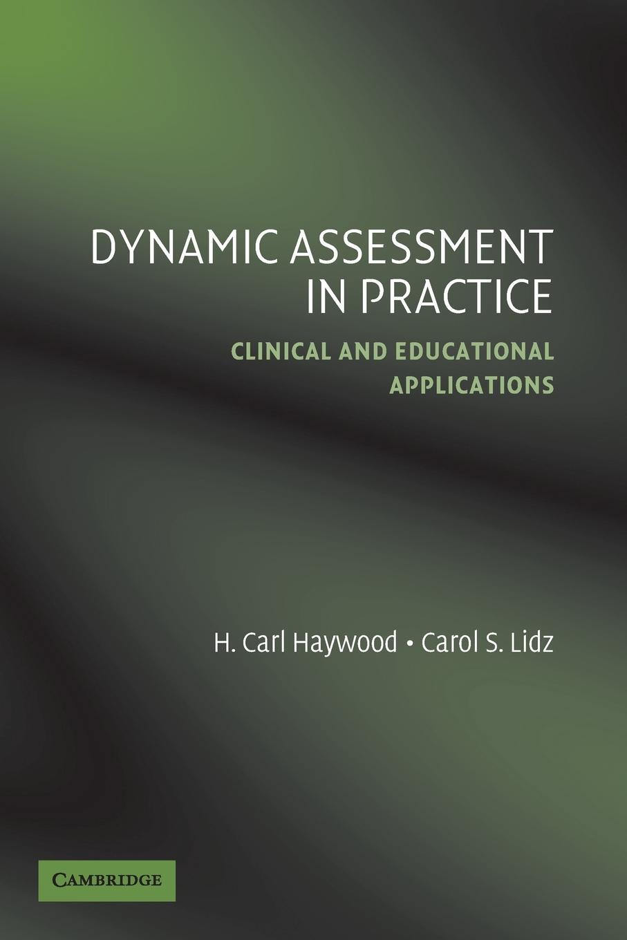 Cover: 9780521614122 | Dynamic Assessment in Practice | Clinical and Educational Applications