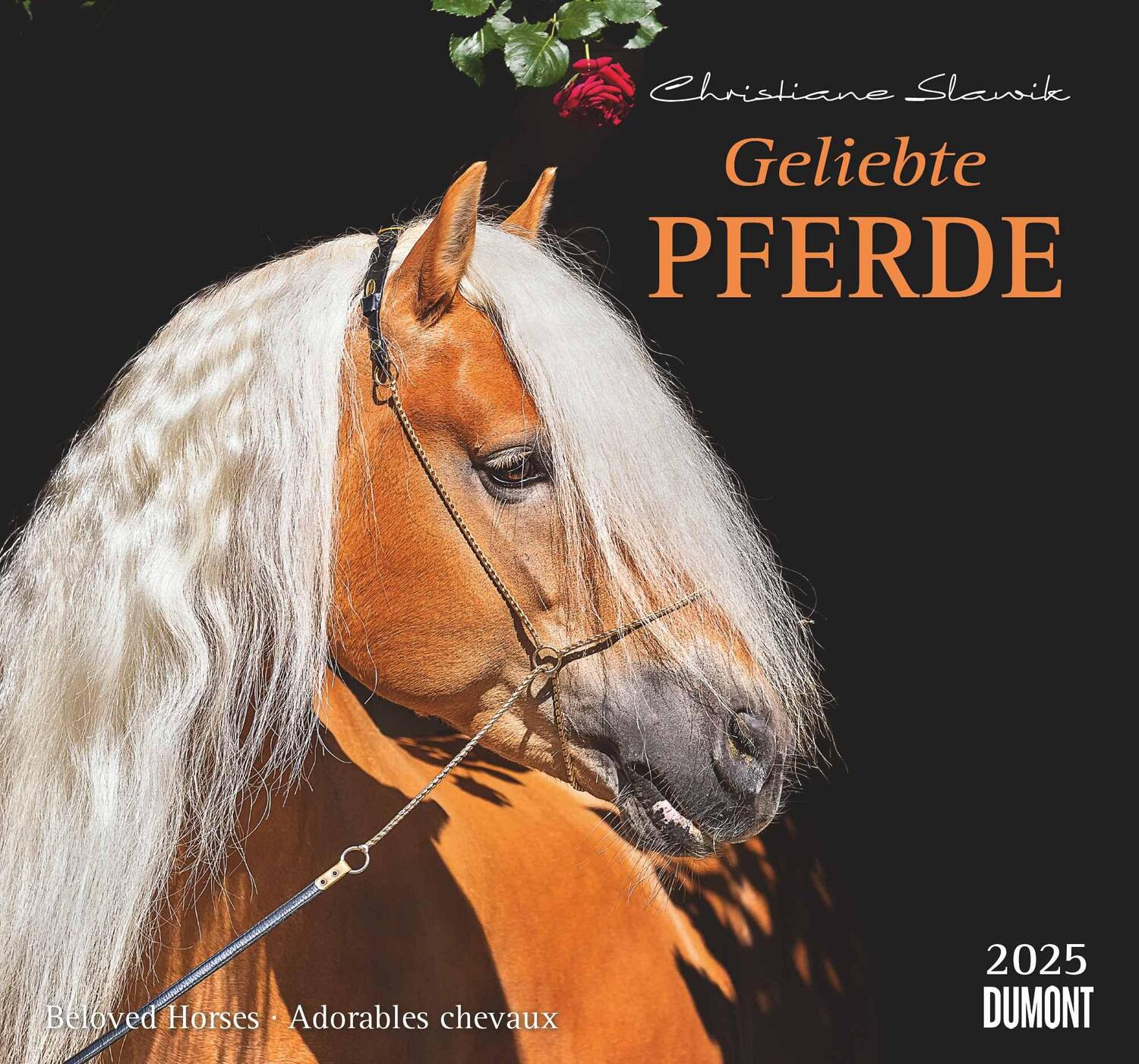 Cover: 4250809653891 | Geliebte Pferde 2025 - DUMONT-Wandkalender - Pferdefotografie von...