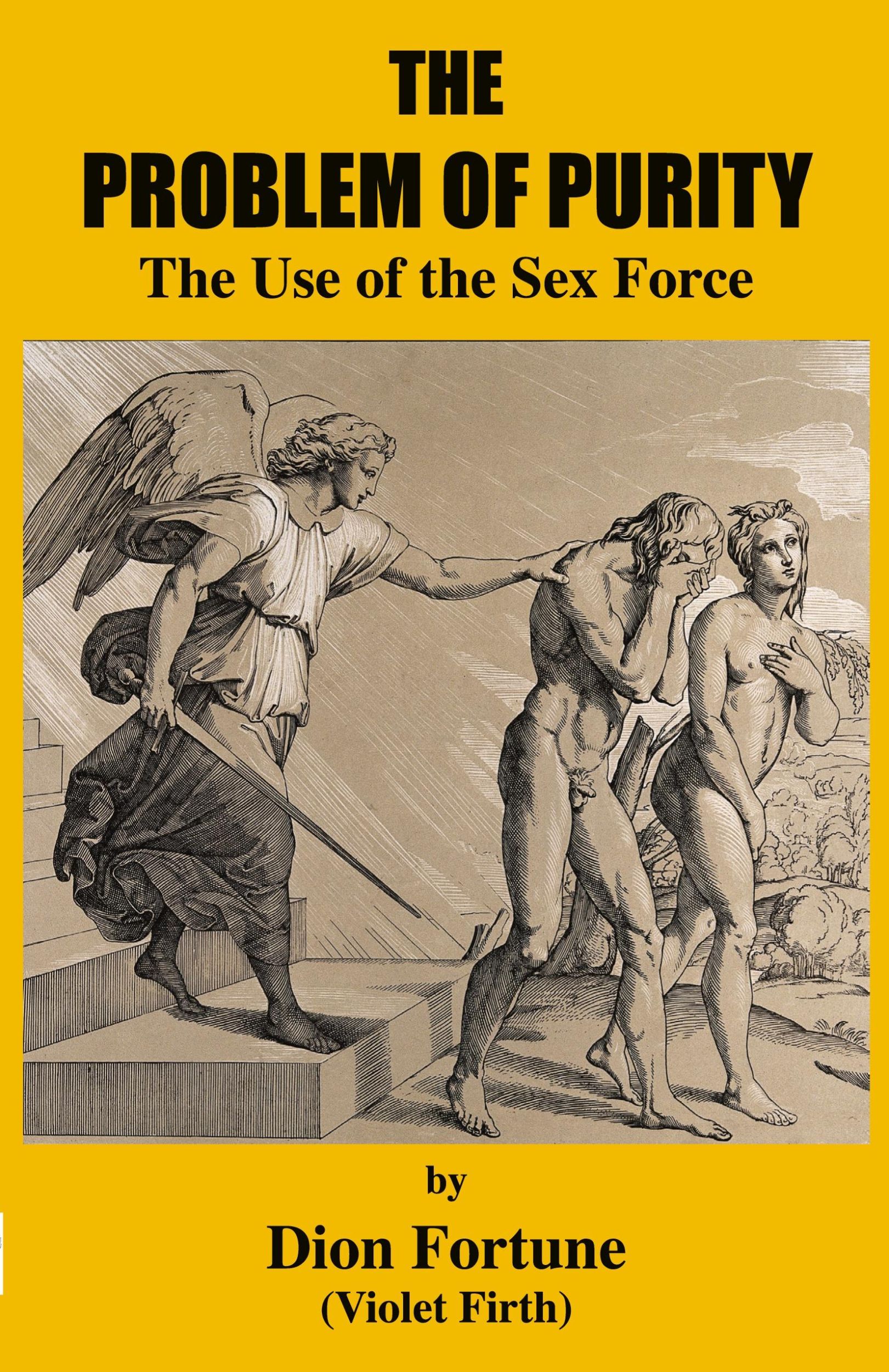 Cover: 9781585094554 | The Problem of Purity | The Use of the Sex Force | Fortune (u. a.)