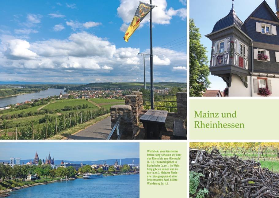 Bild: 9783734315664 | Wanderungen für Langschläfer Rhein-Main | Sabine Holicki | Taschenbuch