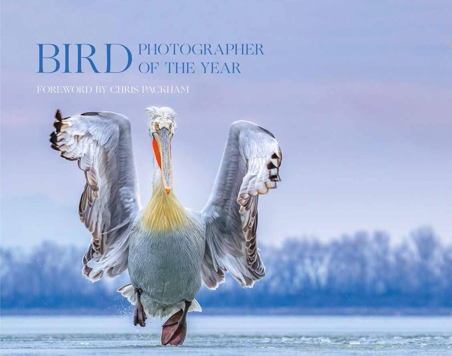 Cover: 9780008336196 | Bird Photographer of the Year | Collection 4 | Year | Buch | Gebunden