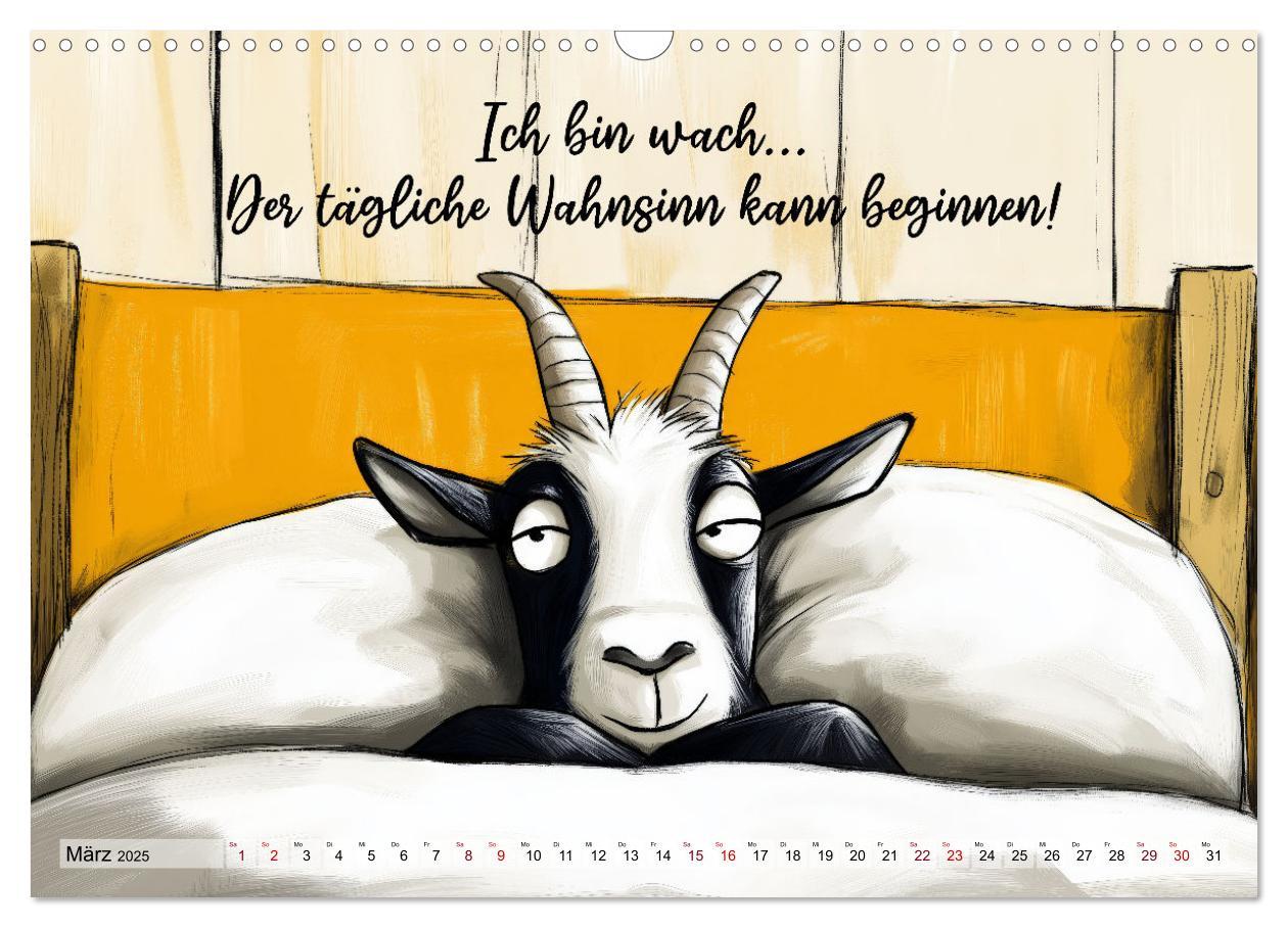 Bild: 9783457186091 | Ziegen, süß aber psycho (Wandkalender 2025 DIN A3 quer), CALVENDO...