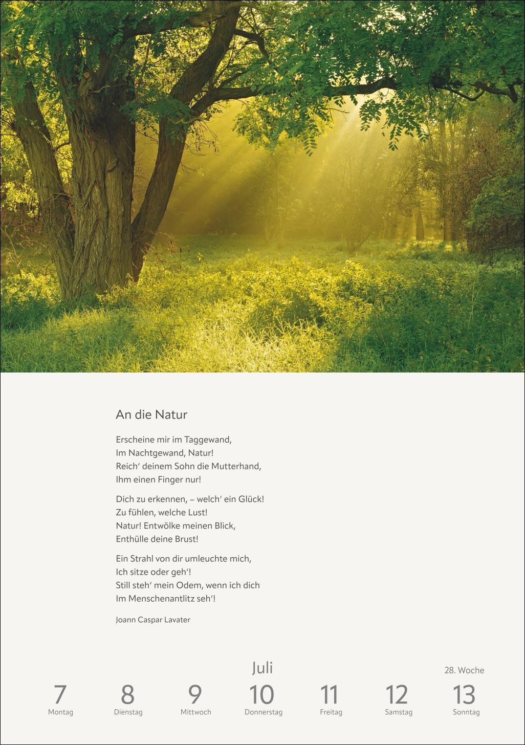 Bild: 9783840034923 | Literaturkalender Natur Wochen-Kulturkalender 2025 | Ruth Dangelmeier