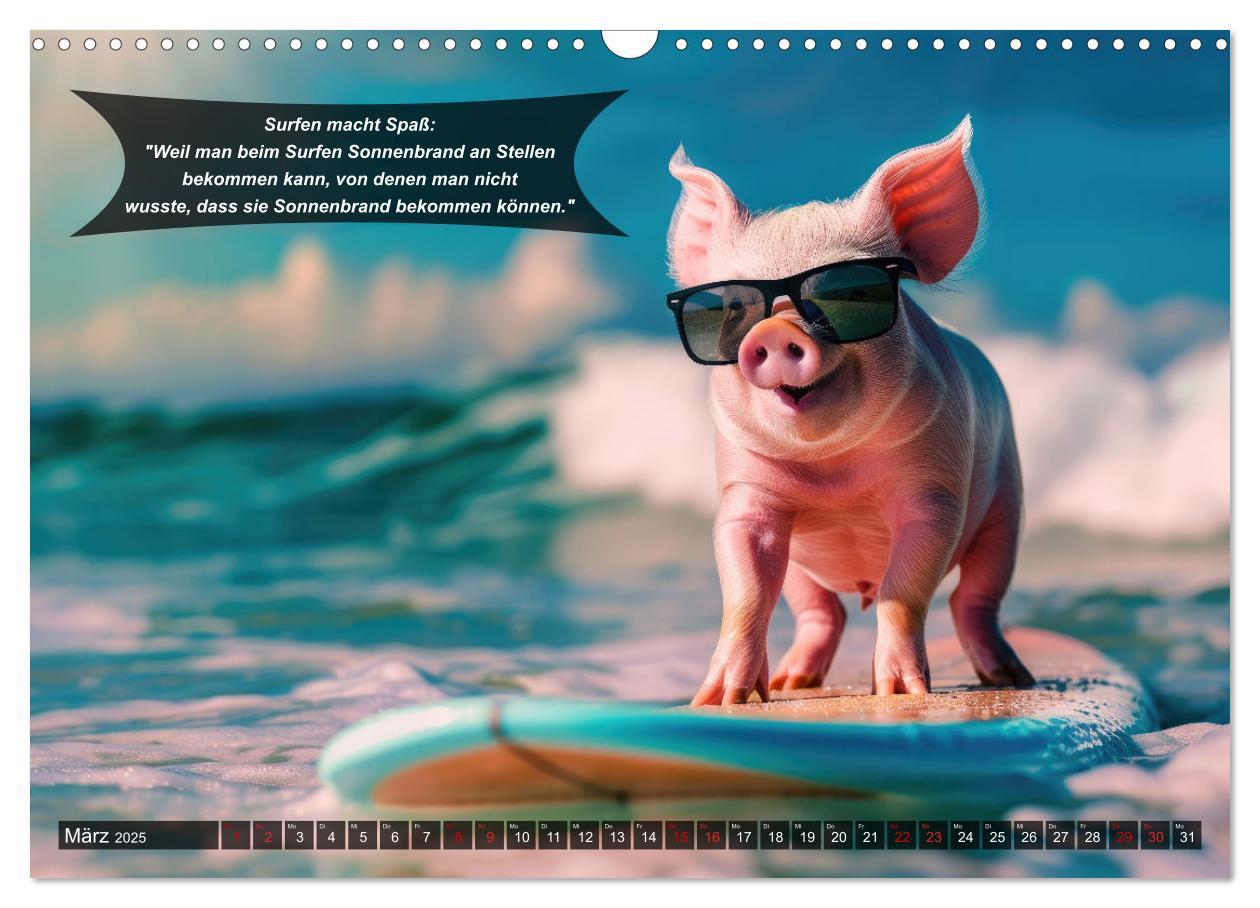 Bild: 9783457156063 | Der tierisch lustige Surfkalender (Wandkalender 2025 DIN A3 quer),...