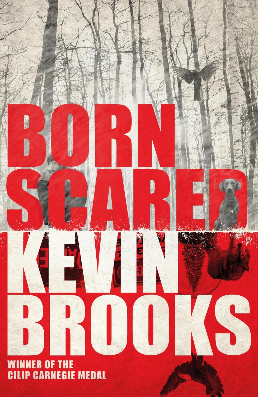 Cover: 9781405276191 | Born Scared | Kevin Brooks | Taschenbuch | Flat Stanley | 243 S.