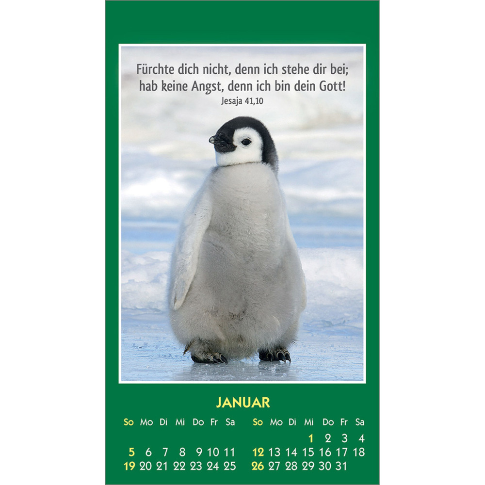 Bild: 9783754893555 | Hallo Du 2025 | Mini-Aufkleber-Kalender | Kalender | 14 S. | Deutsch