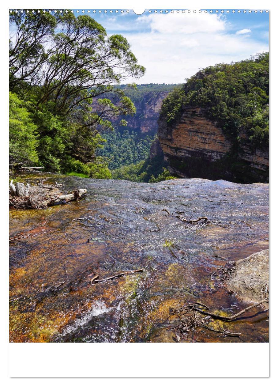 Bild: 9783435972357 | Regenwald - Australien (Wandkalender 2025 DIN A2 hoch), CALVENDO...