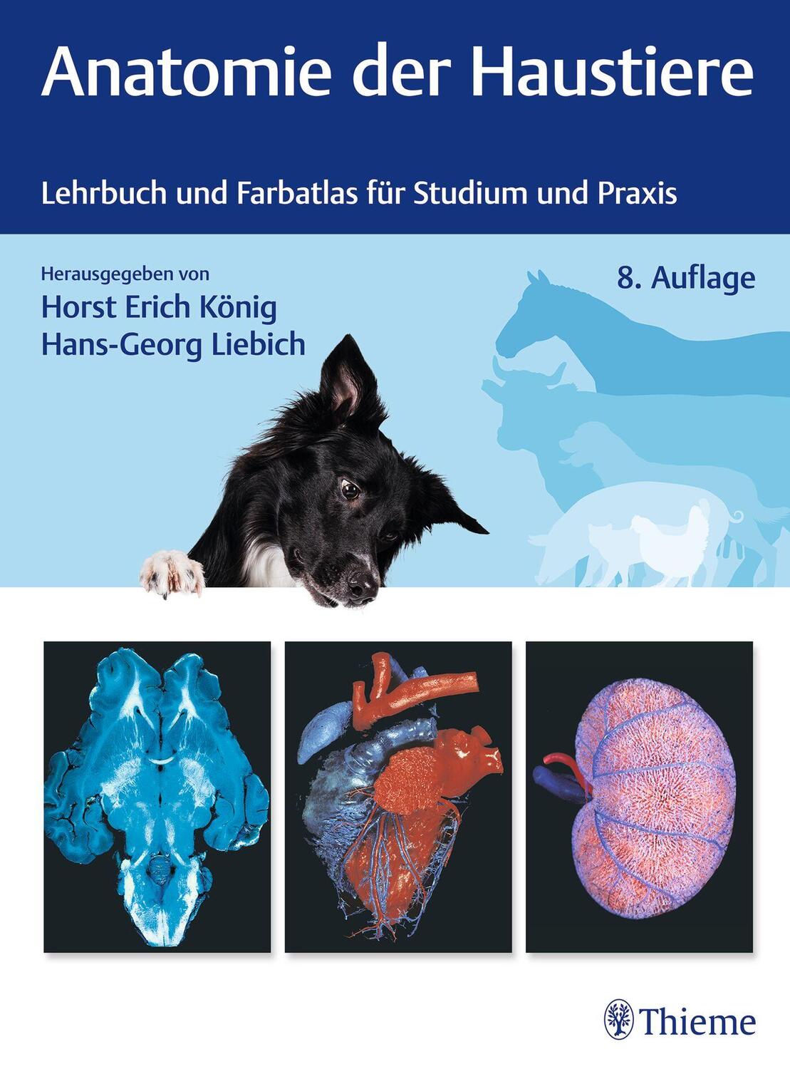 Cover: 9783132455696 | Anatomie der Haustiere | Lehrbuch und Farbatlas für Studium und Praxis