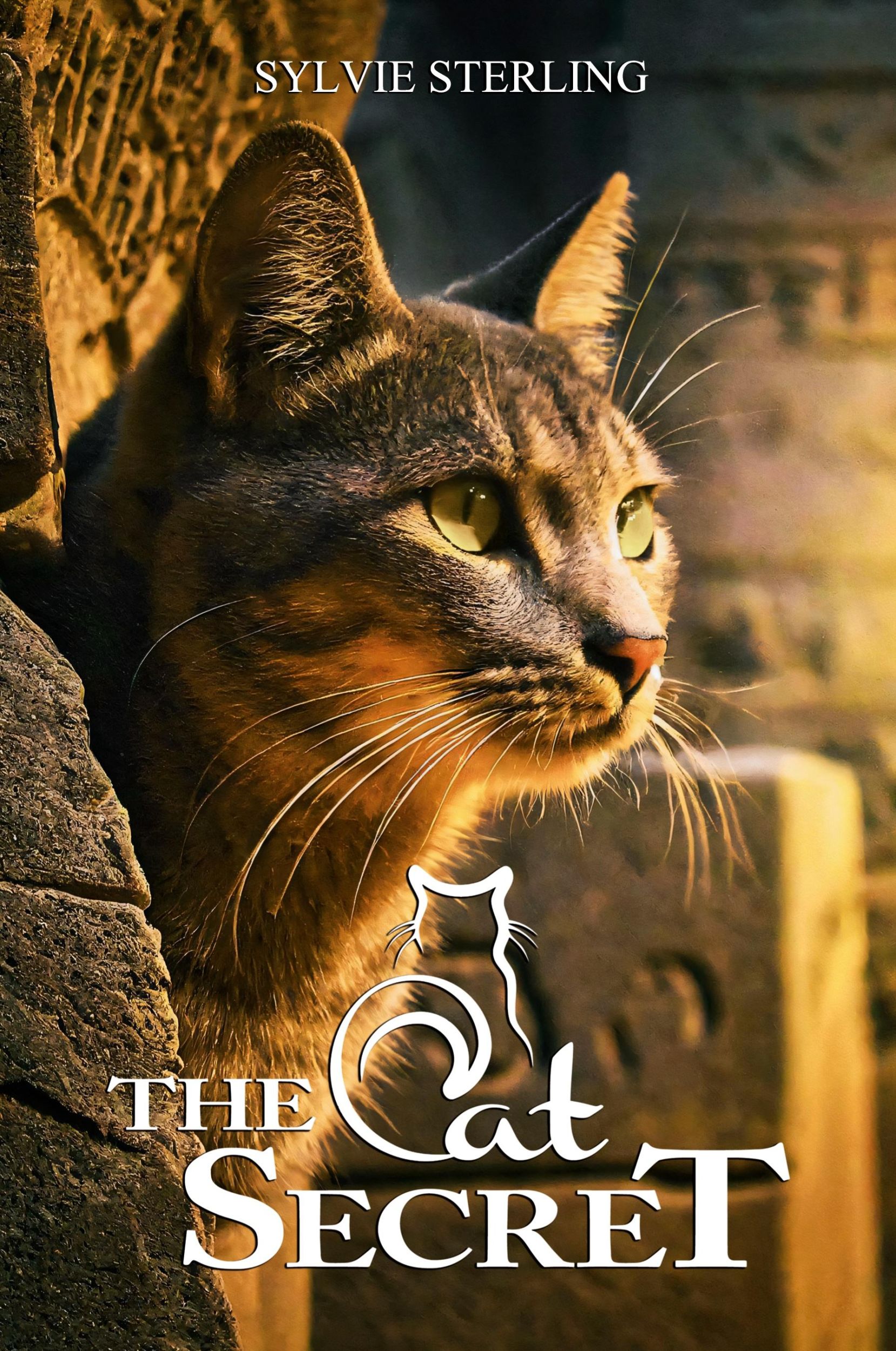 Cover: 9798990929609 | The Cat Secret | Sylvie Sterling | Taschenbuch | Englisch | 2024