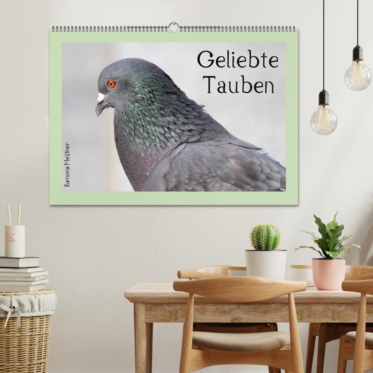 Bild: 9783435755899 | Geliebte Tauben (Wandkalender 2025 DIN A2 quer), CALVENDO...