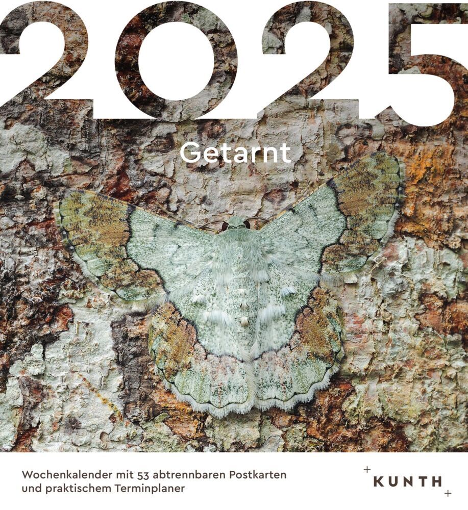 Cover: 9783965913912 | Getarnt - KUNTH Postkartenkalender 2025 | Kalender | 53 S. | Deutsch