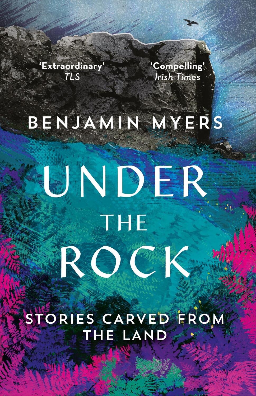 Cover: 9781783964369 | Under the Rock | Stories Carved From the Land | Benjamin Myers | Buch