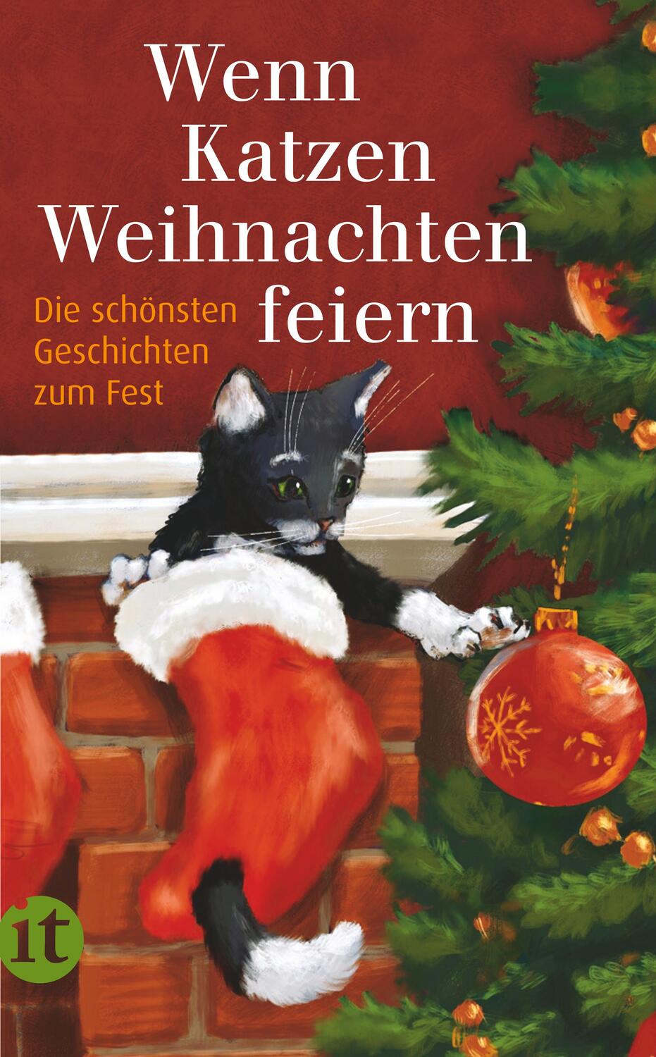 Cover: 9783458682370 | Wenn Katzen Weihnachten feiern | Die schönsten Geschichten | Dammel