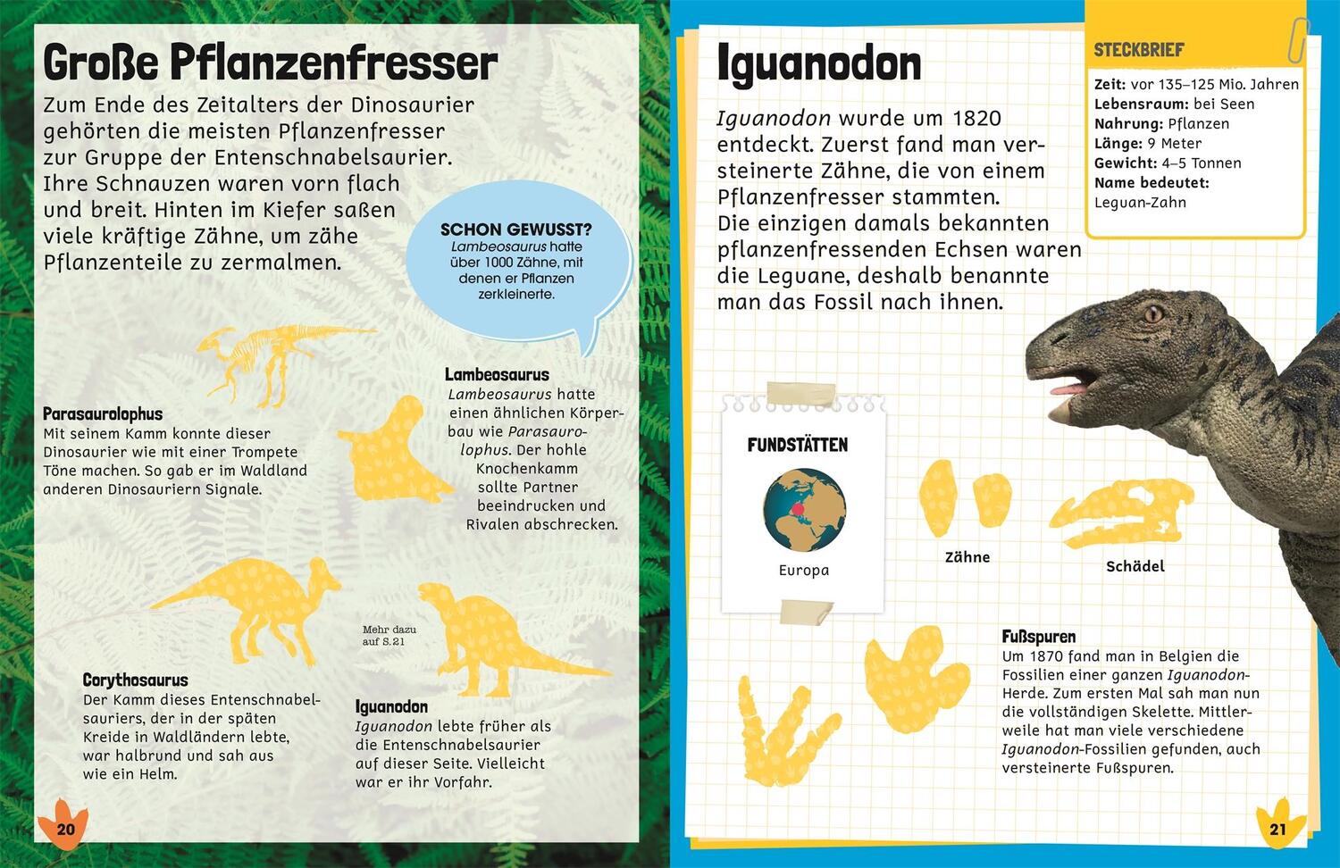 Bild: 9783831039340 | Sticker-Lexikon. Dinosaurier | Mit über 600 Stickern | Taschenbuch