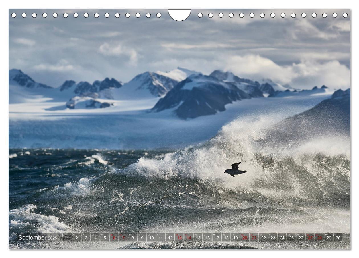 Bild: 9783435305360 | Svalbard-Momente (Wandkalender 2025 DIN A4 quer), CALVENDO...