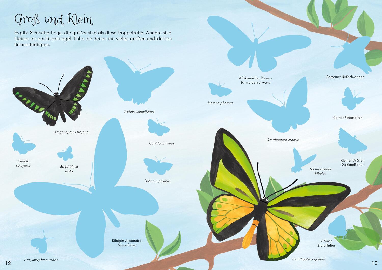 Bild: 9781789418682 | Mein Immer-wieder-Stickerbuch: Schmetterlinge | Jane Bingham | Buch