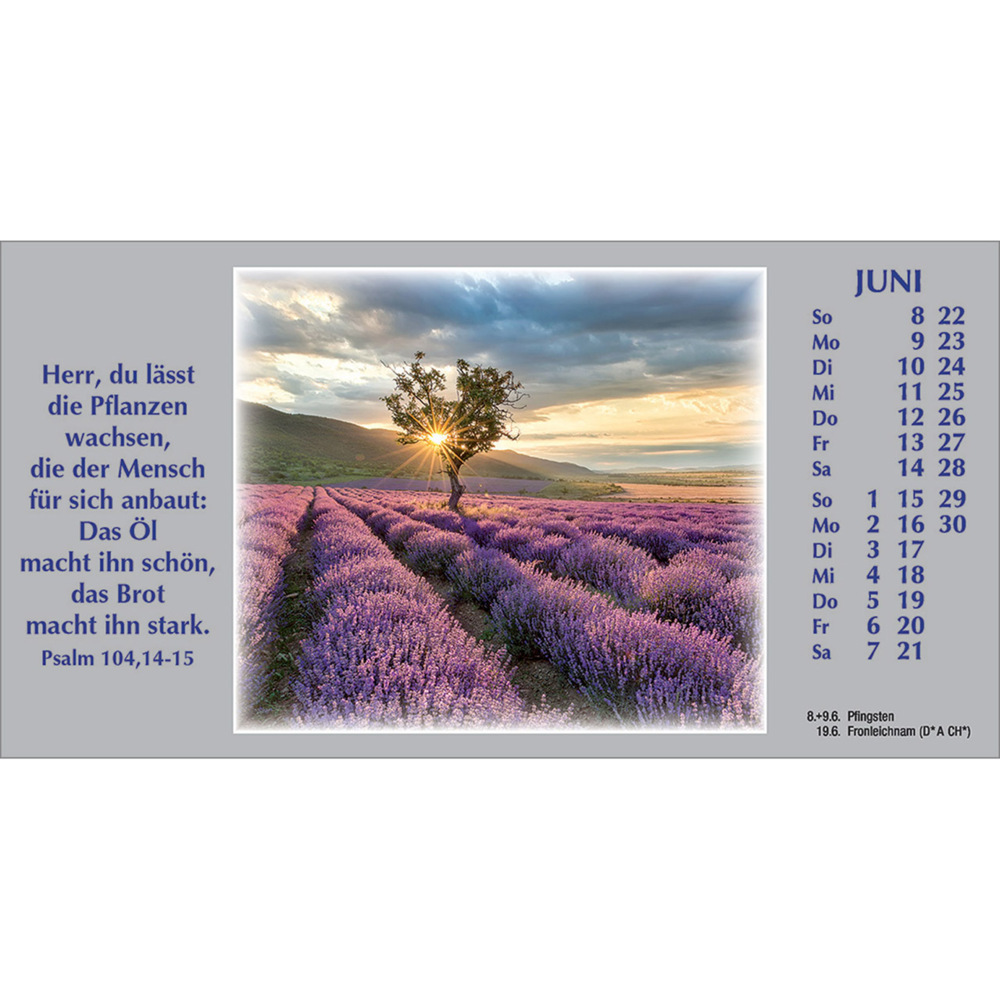 Bild: 9783754886151 | Wege zur Stille 2025 | Autokalender mit Psalmworten und Farbfotos