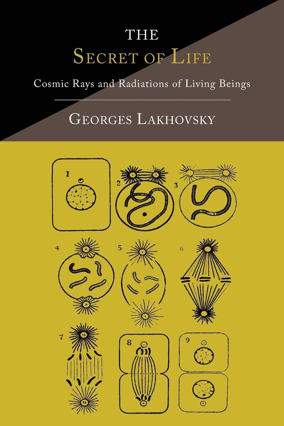 Cover: 9781614275077 | The Secret of Life | Cosmic Rays and Radiations of Living Beings