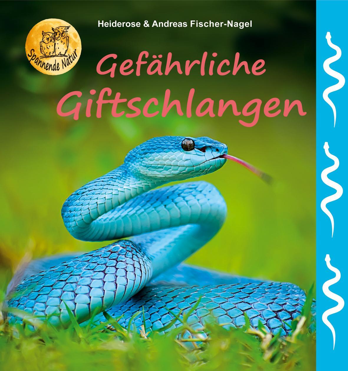 Cover: 9783930038794 | Gefährliche Giftschlangen | Heiderose Fischer-Nagel (u. a.) | Buch