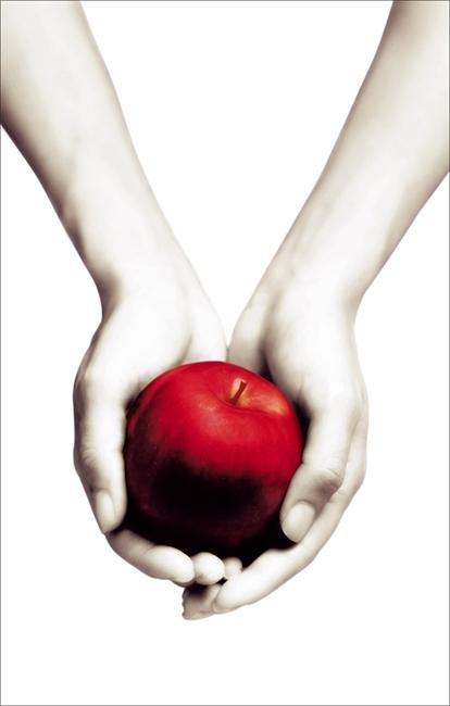 Cover: 9781907410482 | Twilight. White Cover | Stephenie Meyer | Taschenbuch | Twilight Saga