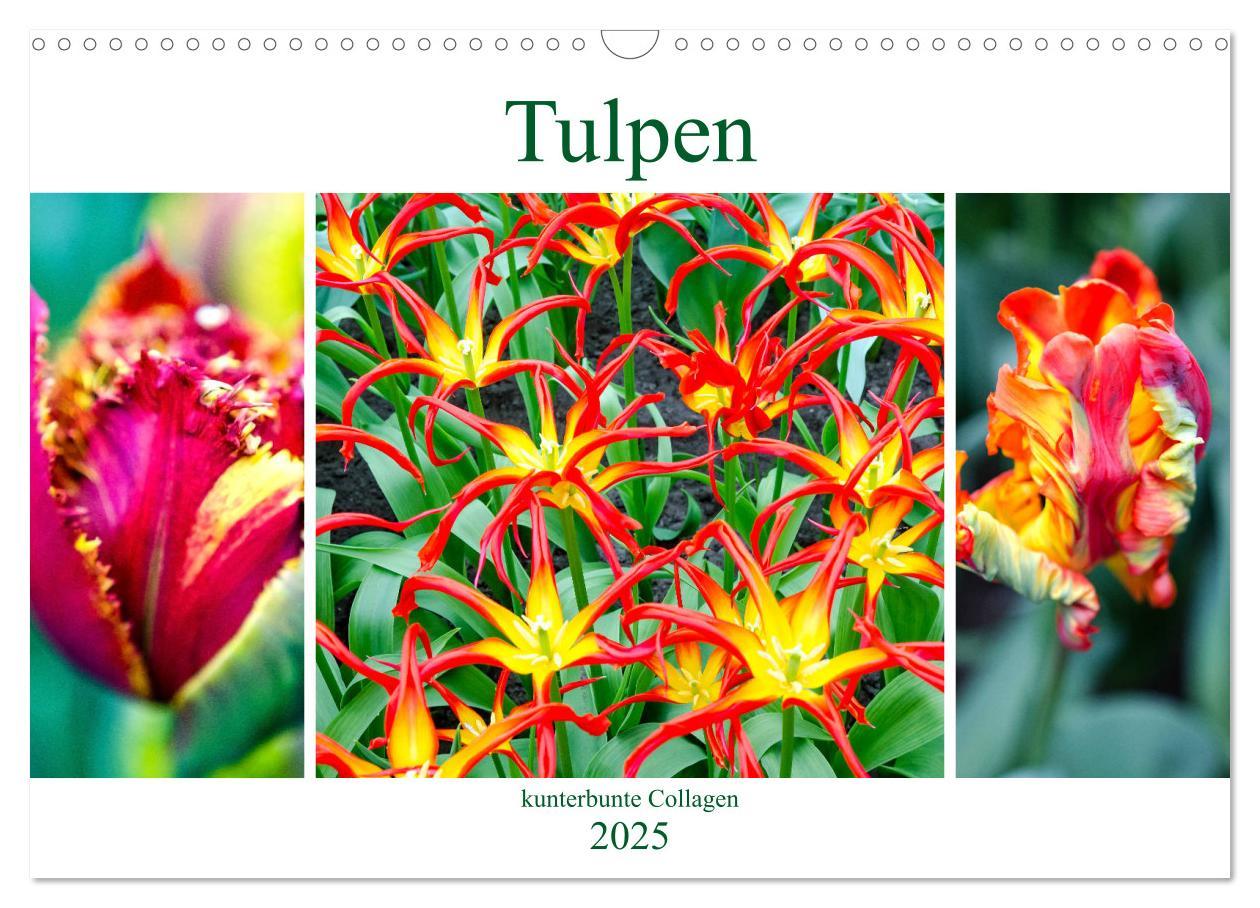 Cover: 9783435324170 | Tulpen - kunterbunte Collagen (Wandkalender 2025 DIN A3 quer),...