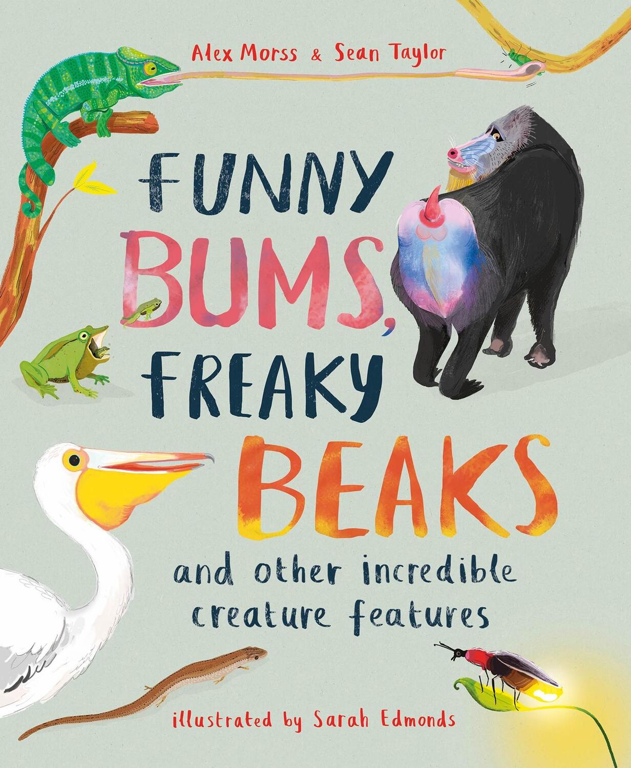 Cover: 9781803380056 | Funny Bums, Freaky Beaks | and Other Incredible Creature Features