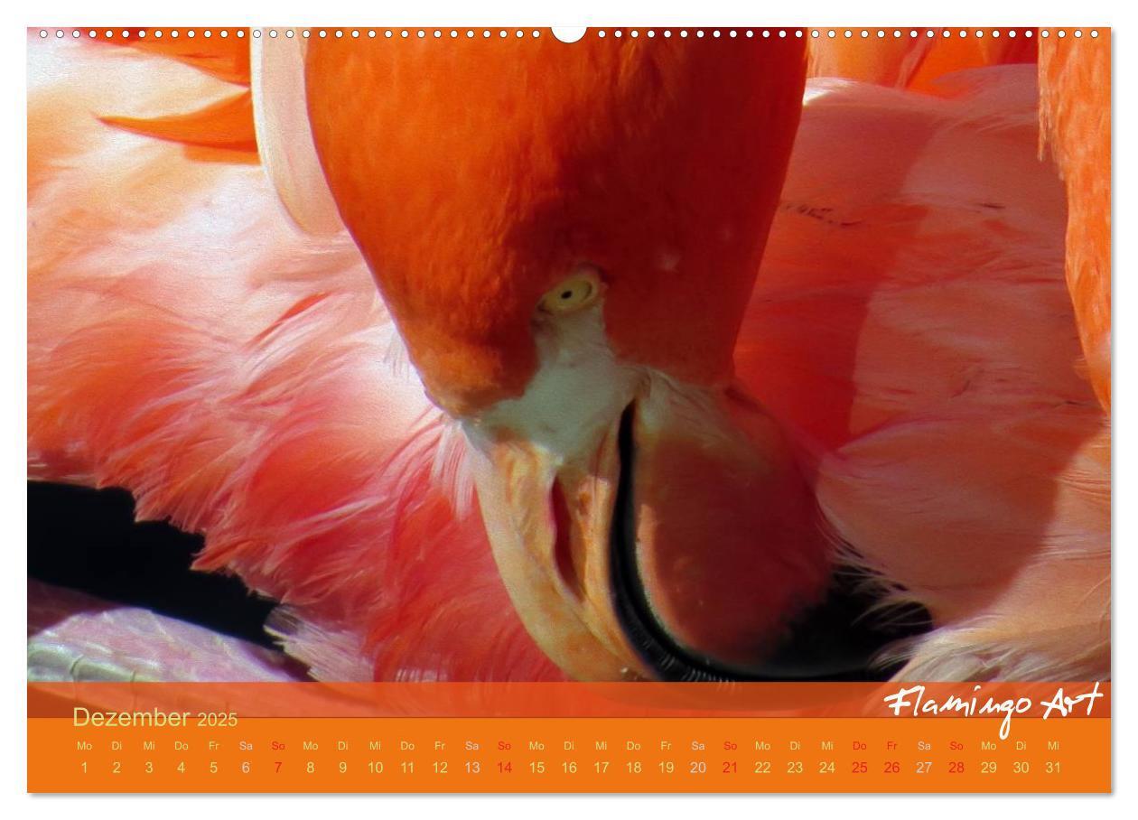 Bild: 9783435818822 | Flamingo Art 2025 (Wandkalender 2025 DIN A2 quer), CALVENDO...