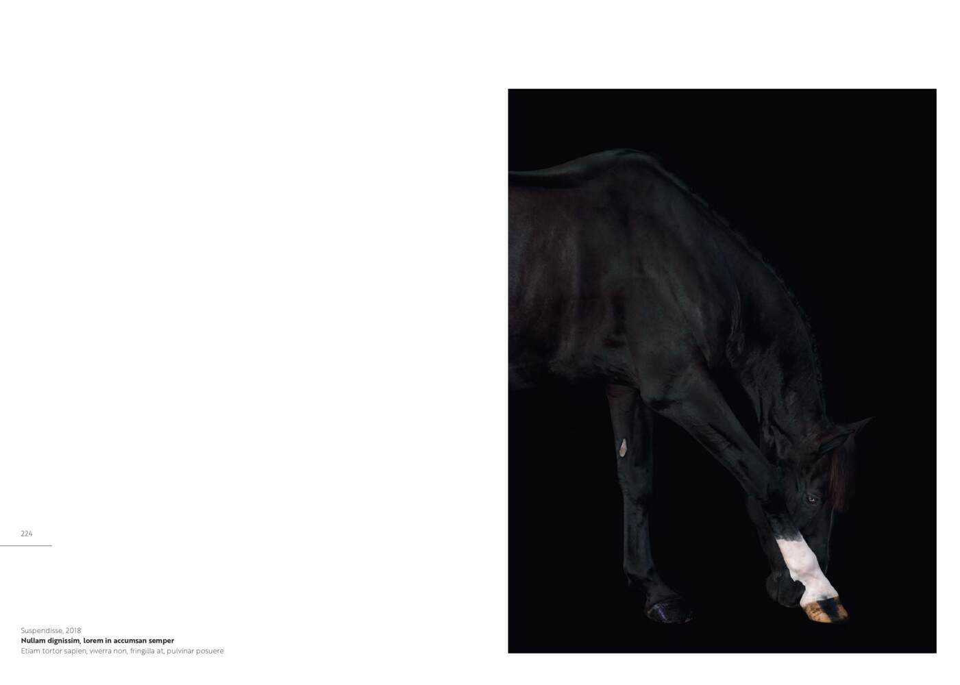 Bild: 9783716518564 | Stars | Equine Portraits | Silvio Maraini | Buch | Deutsch | 2019