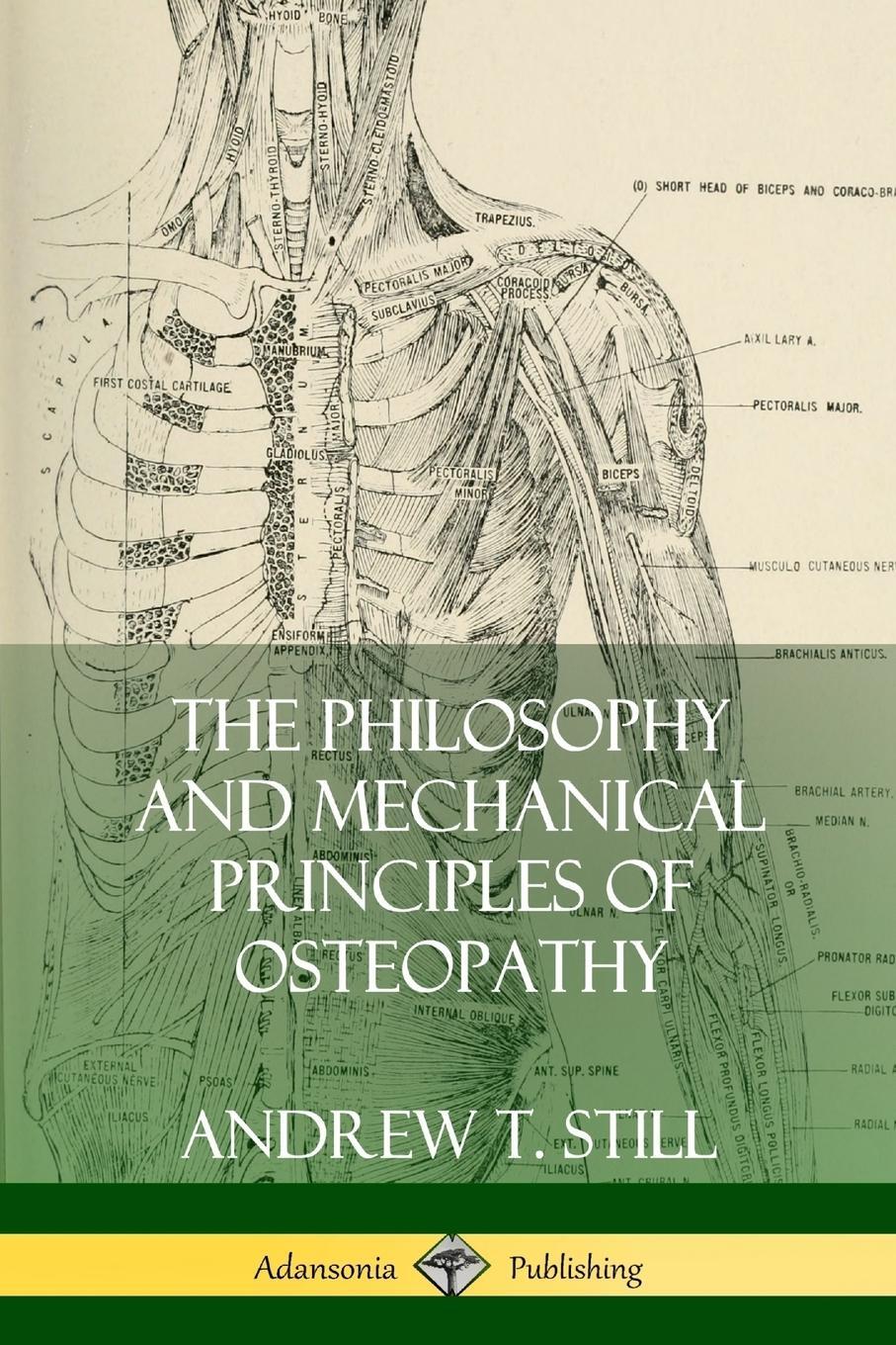Cover: 9780359022519 | The Philosophy and Mechanical Principles of Osteopathy | Still | Buch