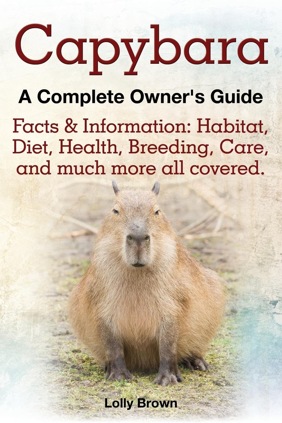 Cover: 9781941070062 | Capybara. Facts &amp; Information | Lolly Brown | Taschenbuch | Paperback