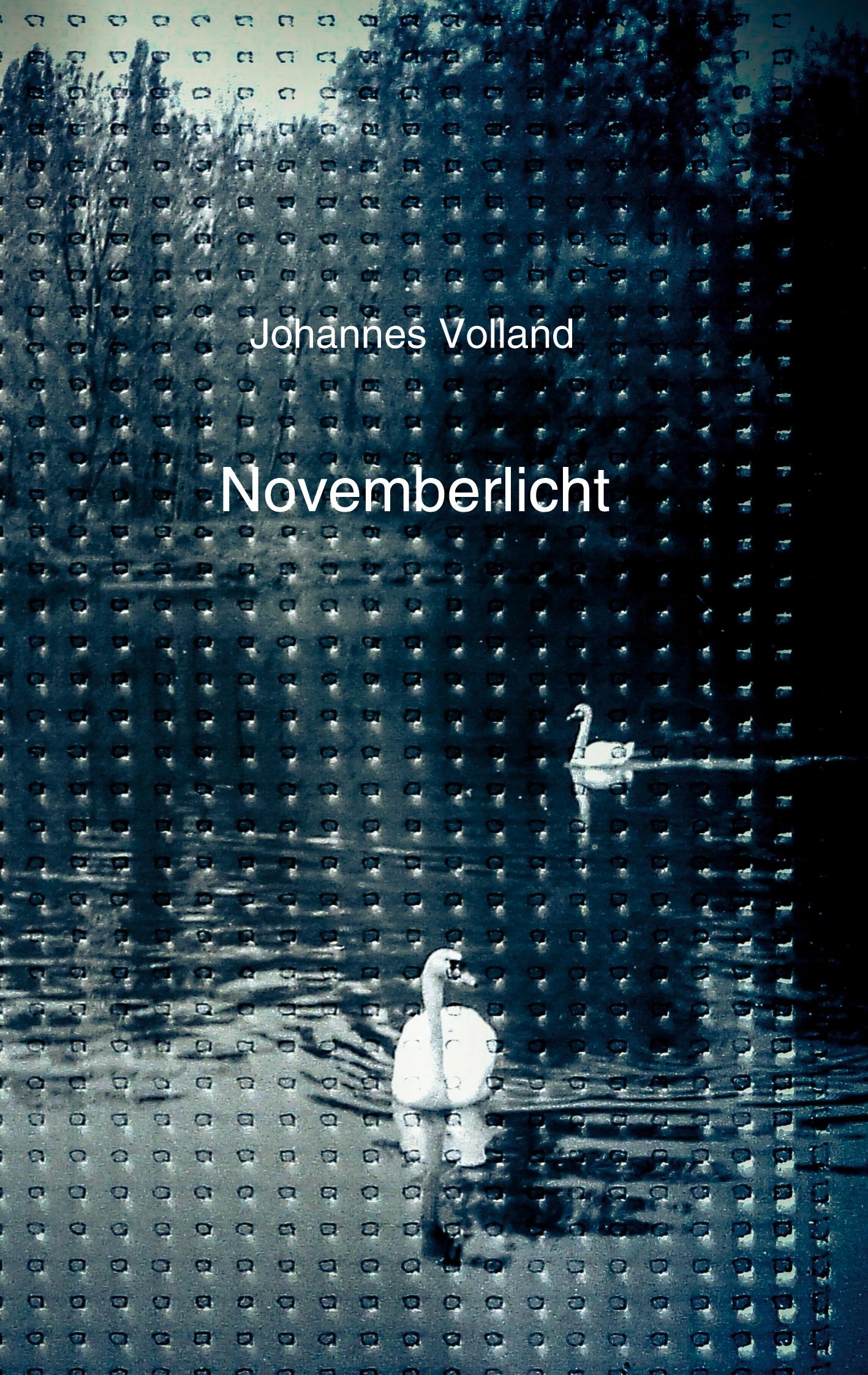 Cover: 9783758370847 | Novemberlicht | Johannes Volland | Taschenbuch | Paperback | 96 S.