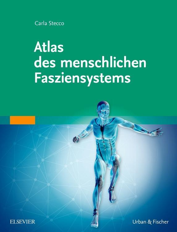 Cover: 9783437559051 | Atlas des menschlichen Fasziensystems | Carla Stecco | Buch | Deutsch