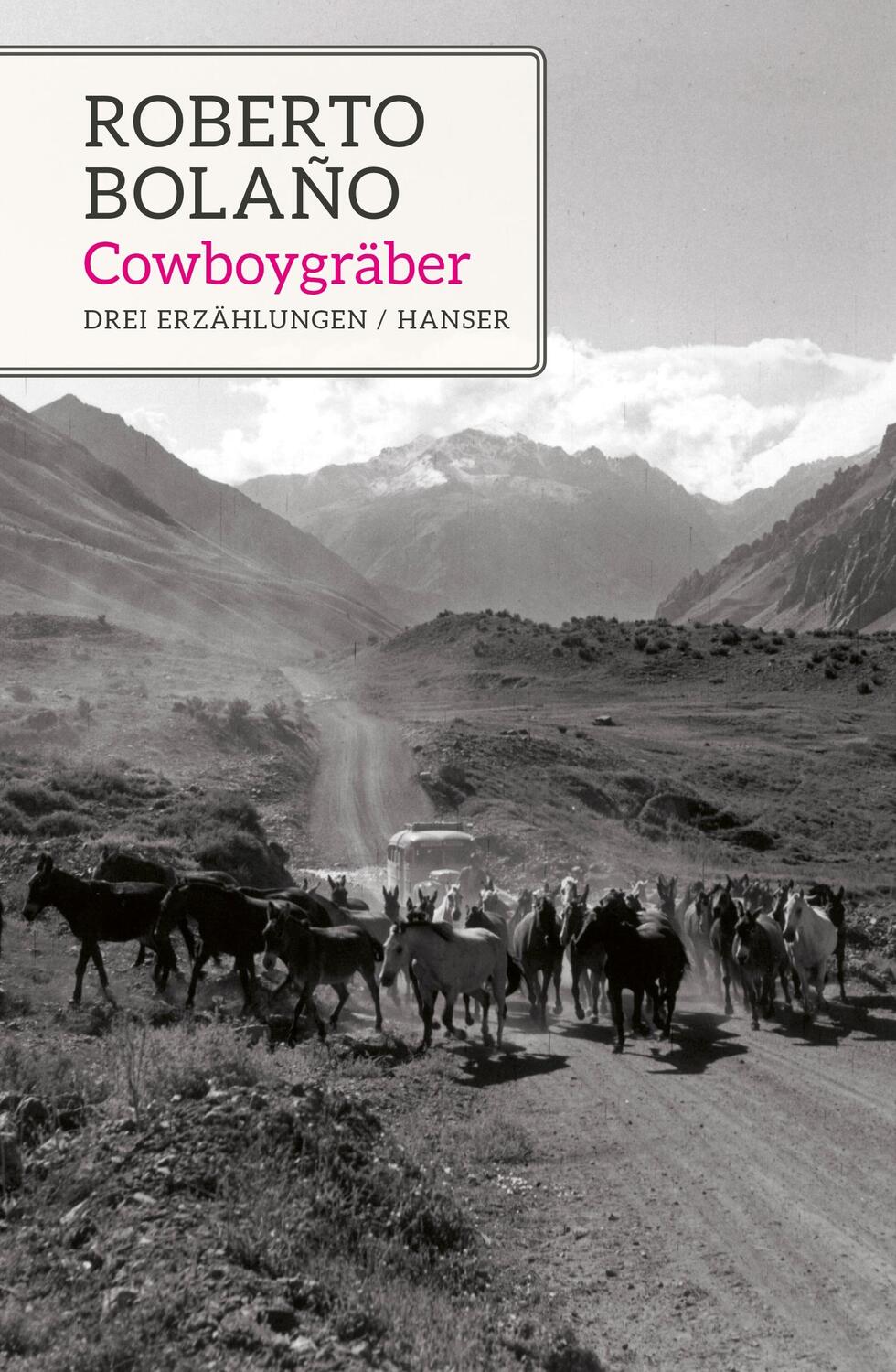 Cover: 9783446265578 | Cowboygräber | Drei Erzählungen | Roberto Bolaño | Buch | Deutsch
