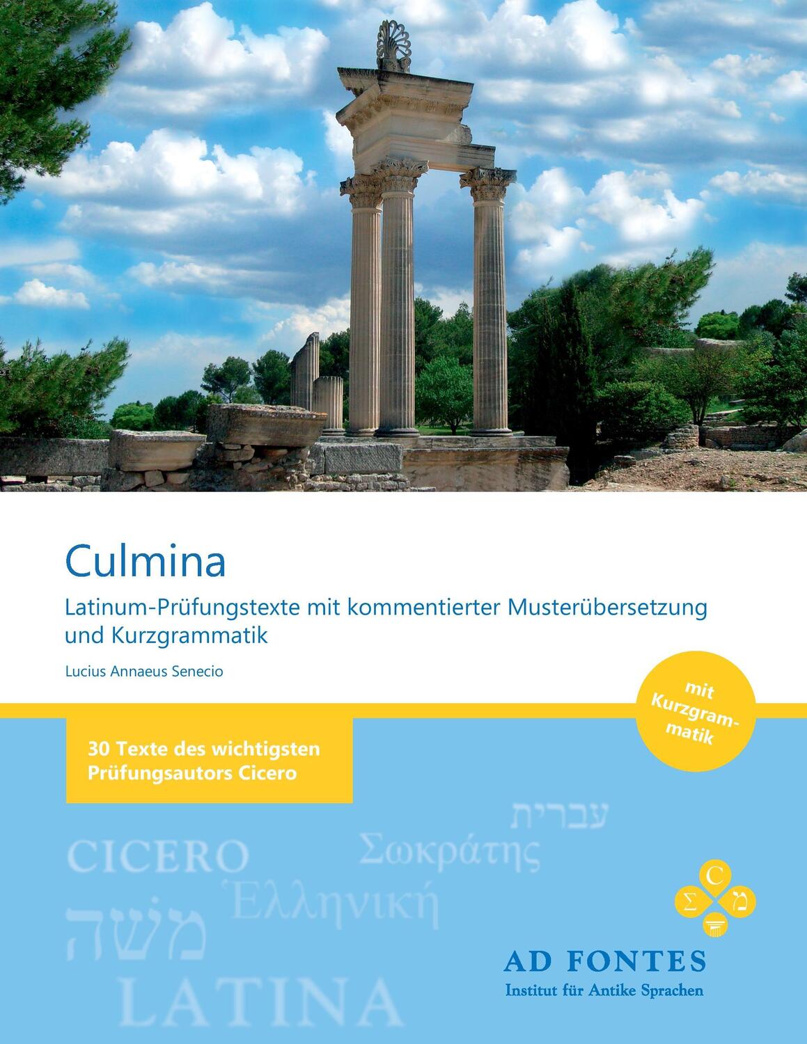 Cover: 9783839142790 | Culmina | Lucius Annaeus Senecio | Taschenbuch | 2011