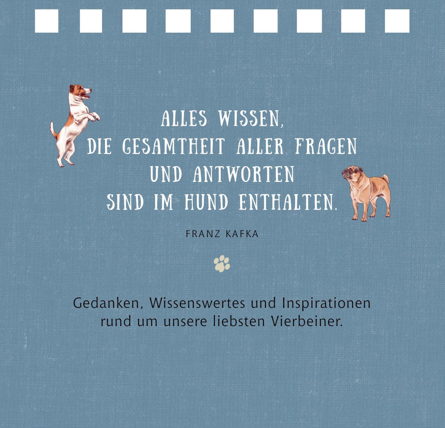 Bild: 9783649646044 | Tierisch beste Freunde | Julia Gerigk | Taschenbuch | 144 S. | Deutsch