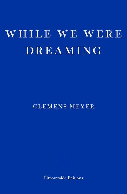 Cover: 9781804270288 | While We Were Dreaming | Clemens Meyer | Taschenbuch | Englisch | 2023