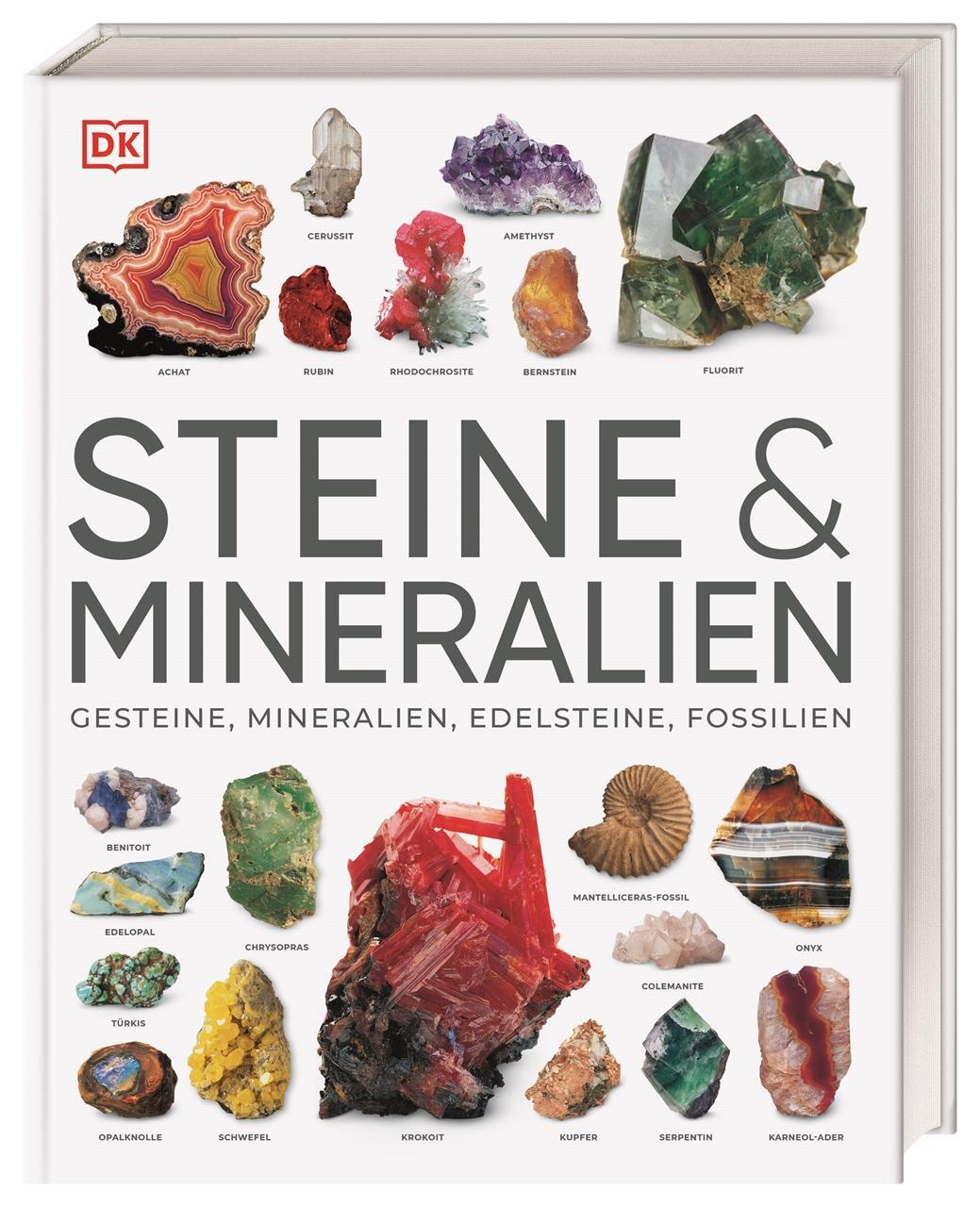 Cover: 9783831048069 | Steine &amp; Mineralien | Ronald L. Bonewitz | Buch | 360 S. | Deutsch