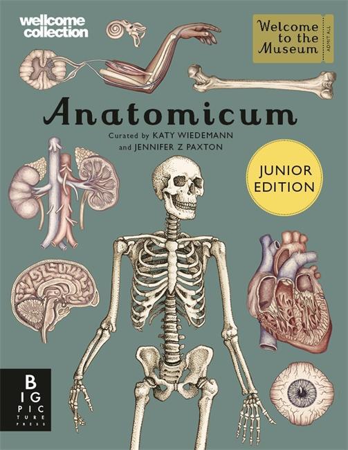 Cover: 9781787416543 | Anatomicum Junior | Jennifer Z Paxton | Buch | Gebunden | Englisch