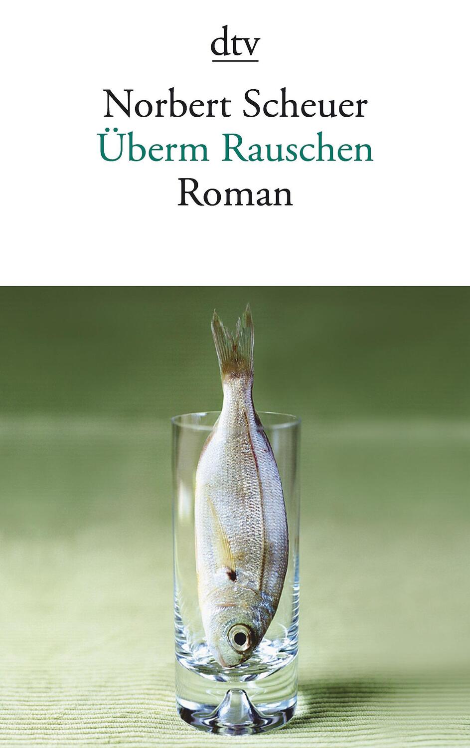 Cover: 9783423140089 | Überm Rauschen | Norbert Scheuer | Taschenbuch | Deutsch | 2011