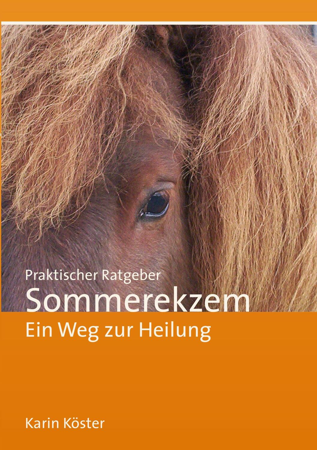 Cover: 9783752625066 | Praktischer Ratgeber Sommerekzem | Ein Weg zur Heilung | Karin Köster