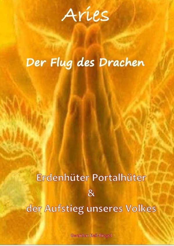 Cover: 9783737543651 | Aries II - Der Flug des Drachen | Gwaiden Keil-Biegel | Taschenbuch